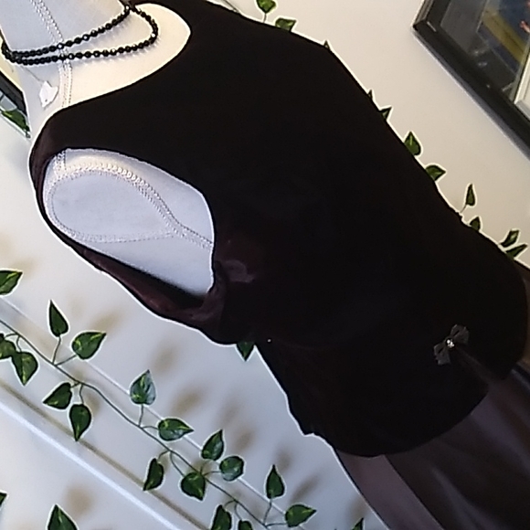 "Perfect Classic" BROWN SCOTT McCLINTOCK GOWN SZ 16 VELVETY AND SATIN LOOK... - Picture 5 of 13